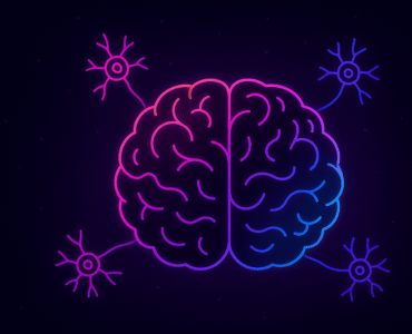 Neurociencia y emociones: cómo tu cerebro construye lo que sientes