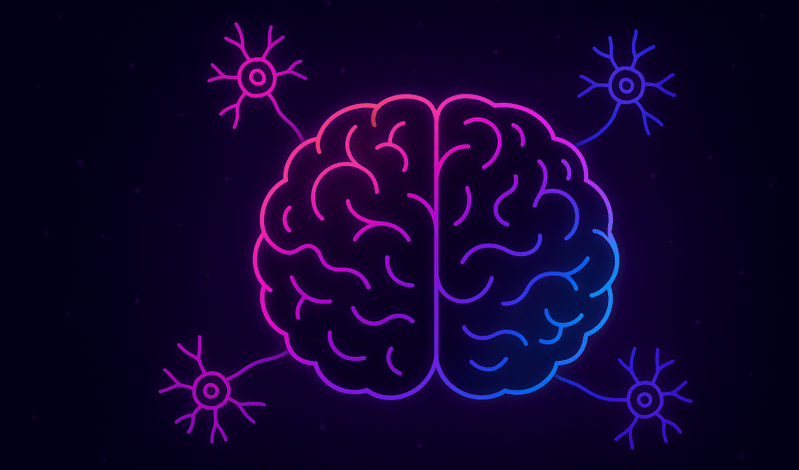 Neurociencia y emociones: cómo tu cerebro construye lo que sientes